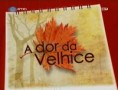 /album/sentimentos-por-imagem-/a-dor-da-velhice-jpg1/
